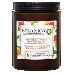 botanica-by-air-wick-moroccan-mint-&-pink-grapefruit-candle-500g-1.jpeg