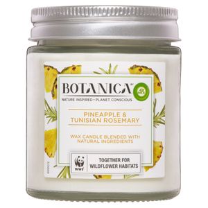 botanica-by-air-wick-pineapple-and-tunisian-rosemary-candle-205g-1.jpeg